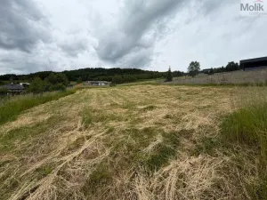 Prodej pozemku pro bydlení, Málkov - Zelená, 1010 m2