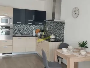 Pronájem bytu 1+kk, České Budějovice - České Budějovice 3, Jírovcova, 57 m2