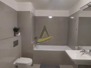 Pronájem bytu 1+kk, České Budějovice - České Budějovice 3, Jírovcova, 57 m2