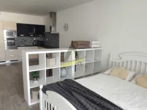 Pronájem bytu 1+kk, České Budějovice - České Budějovice 3, Jírovcova, 57 m2