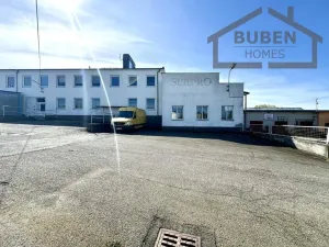 Pronájem kanceláře, Planá, Zámecká, 380 m2