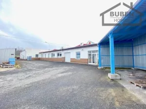 Pronájem kanceláře, Planá, Zámecká, 380 m2