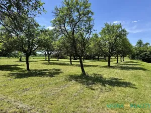Prodej pozemku pro bydlení, Bílé Poličany, 2980 m2