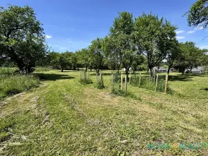 Prodej pozemku pro bydlení, Bílé Poličany, 2980 m2