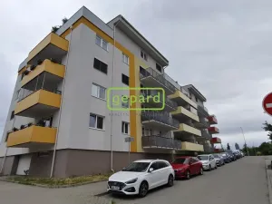 Pronájem bytu 1+kk, Brno - Žebětín, Lišejníková, 31 m2