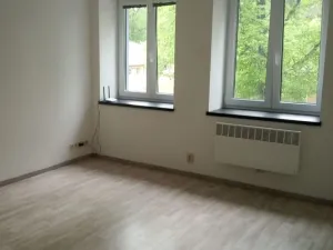 Pronájem bytu 1+1, Opava - Předměstí, Rybářská, 25 m2