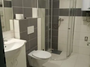 Pronájem bytu 1+1, Opava - Předměstí, Rybářská, 25 m2
