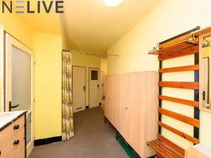 Prodej bytu 2+1, Plzeň, Čechova, 73 m2
