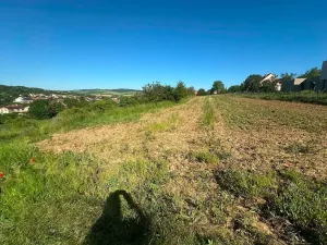 Prodej pole, Boršice, 2375 m2