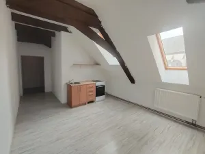 Pronájem bytu 1+kk, Olomouc, Zámečnická, 35 m2
