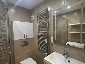 Pronájem bytu 1+1, Teplice, Moskevské náměstí, 30 m2