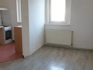 Pronájem bytu 2+kk, Novosedlice, Míru, 40 m2