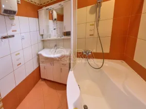Pronájem rodinného domu, Broumy, Průběžná, 158 m2