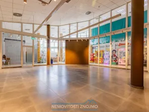 Pronájem obchodního prostoru, Chvalovice - Hatě, 274 m2