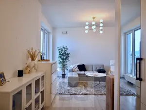 Pronájem bytu 1+kk, Brno, Křenová, 40 m2