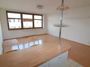 Pronájem bytu 1+kk, Praha - Vinohrady, Hradecká, 37 m2