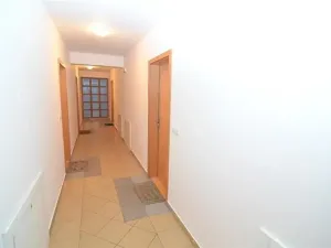 Pronájem bytu 1+kk, Praha - Vinohrady, Hradecká, 37 m2