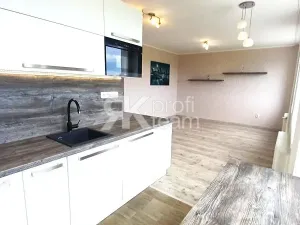 Pronájem bytu 2+kk, Ostrava, Ludvíka Podéště, 56 m2