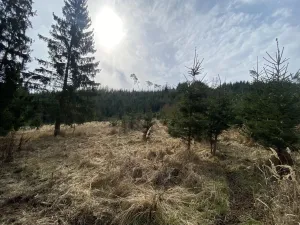 Prodej louky, Městečko Trnávka - Lázy, 1026 m2