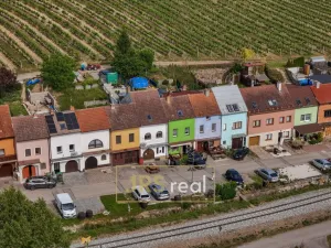 Prodej - jiné, Velké Pavlovice, 155 m2