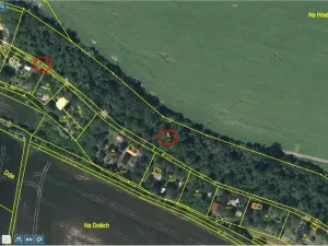 Prodej lesa, Kropáčova Vrutice - Střížovice, 12158 m2