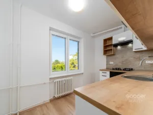 Pronájem bytu 2+1, Praha - Žižkov, Pod lipami, 58 m2