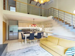 Pronájem bytu 5+kk, Praha - Bubeneč, Mlýnská, 150 m2