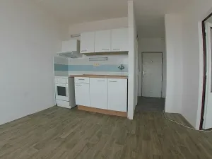 Pronájem bytu 1+1, Plzeň, Sokolovská, 40 m2