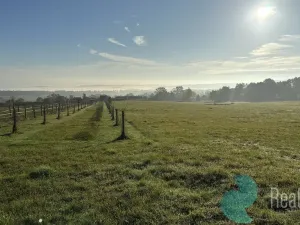 Prodej pozemku pro bydlení, Záboří - Dobčice, 78488 m2
