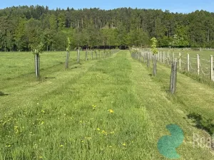 Prodej pozemku pro bydlení, Záboří - Dobčice, 78488 m2