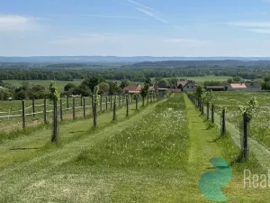 Prodej pozemku pro bydlení, Záboří - Dobčice, 78488 m2