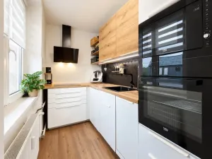 Prodej bytu 3+kk, Chomutov, Partyzánská, 60 m2