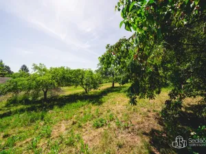 Prodej rodinného domu, Bělčice, 290 m2