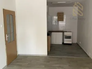Pronájem bytu 2+1, Bílina - Pražské Předměstí, Fügnerova, 49 m2