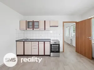Pronájem bytu 2+kk, Dolní Rožínka, 42 m2