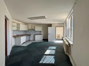 Pronájem bytu 1+1, Mariánské Lázně - Úšovice, Plzeňská, 33 m2