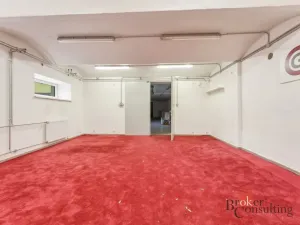 Pronájem výrobních prostor, Blešno, 150 m2