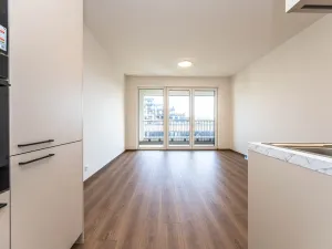 Prodej bytu 1+kk, Praha - Hloubětín, Poděbradská, 33 m2