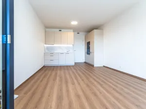 Prodej bytu 1+kk, Praha - Hloubětín, Poděbradská, 33 m2