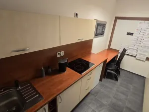 Pronájem obchodního prostoru, Olomouc, Kafkova, 300 m2