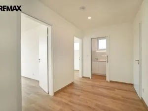 Prodej rodinného domu, Vestec, Čechova, 298 m2