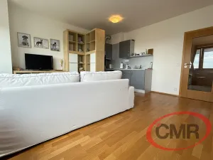 Pronájem bytu 1+kk, Praha, Teplická, 31 m2