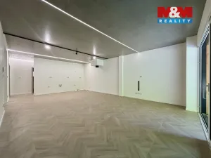 Prodej bytu 3+kk, Ostrava - Radvanice, Dvořáčkova, 105 m2