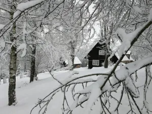 Prodej chalupy, Kounov - Nedvězí, 267 m2