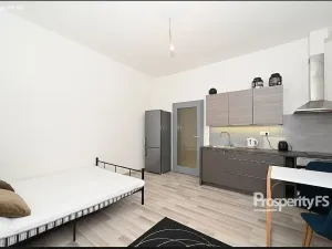 Pronájem bytu 1+kk, Praha - Holešovice, V závětří, 27 m2