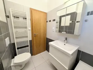 Pronájem bytu 1+kk, Brno, Křížkovského, 32 m2