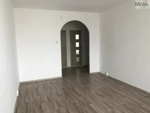 Pronájem bytu 3+1, Bílina - Pražské Předměstí, Alšova, 55 m2