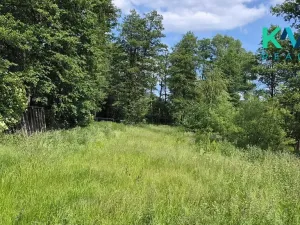 Pronájem zahrady, Sadov, 3000 m2