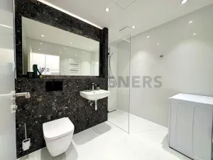 Pronájem bytu 1+kk, Brno, Cejl, 30 m2