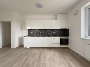 Pronájem bytu 3+kk, Brno - Ponava, Střední, 75 m2